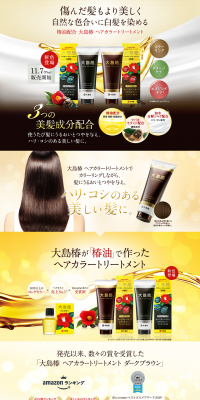 Oshima Tsubaki Hair Color Treatment LP design (Beauty, Skincare, Fragrance / Brown tones / Refined style) PC version