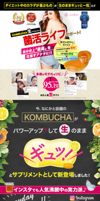 Live Kombucha Supplement LP design (Health and Beauty Foods and Supplements / Multi-color type / Lively type) PC version