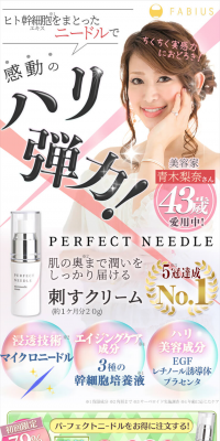 PERFECT NEEDLE LP design (Beauty, Skincare, Fragrance / White-based / Refined style) PC version