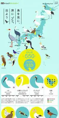 鳥を見に、旅に出ようのLPデザイン（旅行・アウトドア／ブルー系／かわいい系）PC版