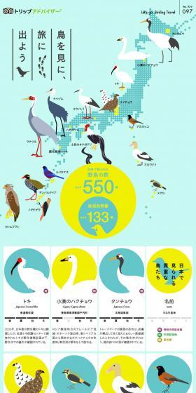 Let's go on a trip to see birds. LP design (Travel & Outdoor / Shades of blue / Cute style) PC version