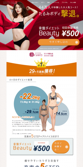 Pelvic Diet LP design (Beauty services / Red tones / Clean-cut) PC version