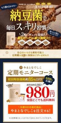 Yamato Nadeshiko LP design (Health and Beauty Foods and Supplements / Brown tones / Lively type) PC version