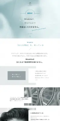 発毛サロンのLPデザイン（美容サービス／ブルー系／信頼・安心系）PC版