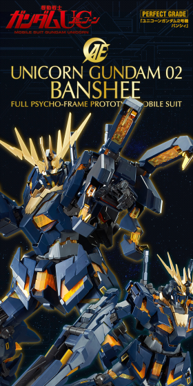 PG 1/60 Expansion Unit Armed Armor VN/BS LP design (Kids, Baby, Toys / Black-colored / Cool style) PC version