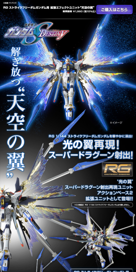 RG 1/144 Strike Freedom Gundam Expansion Effect Unit "Wings of the Sky" LP design (Kids, Baby, Toys / Black-colored / Cool style) PC version