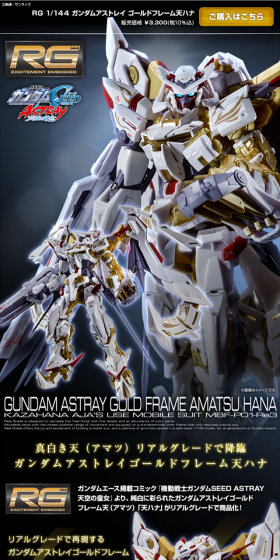 RG 1/144 Gundam Astray Gold Frame Amatsu Hana LP design (Kids, Baby, Toys / Black-colored / Cool style) PC version