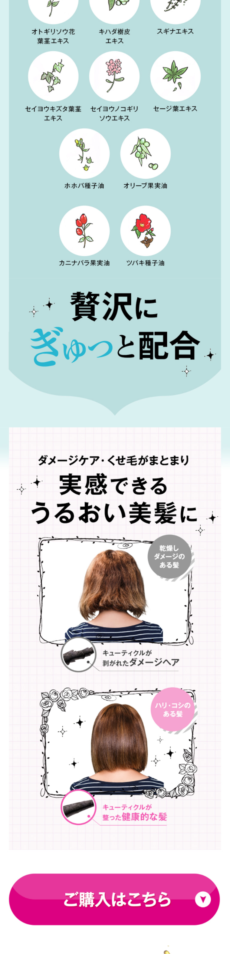 コロアオーガニックトライアルセットのLPデザイン（美容・スキンケア・香水／ホワイト系／キレイ系）スマホ版