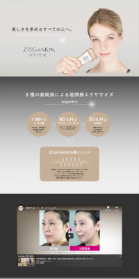 Zogankin LP design (Beauty and Health Equipment / Shades of grey / Trust and Safety) PC version