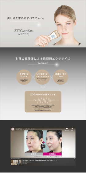 Zogankin LP design (Beauty and Health Equipment / Shades of grey / Trust and Safety) PC version
