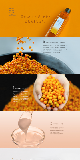Royal Berry Extra LP design (Health and Beauty Foods and Supplements / Orange tones / Refined style) PC version