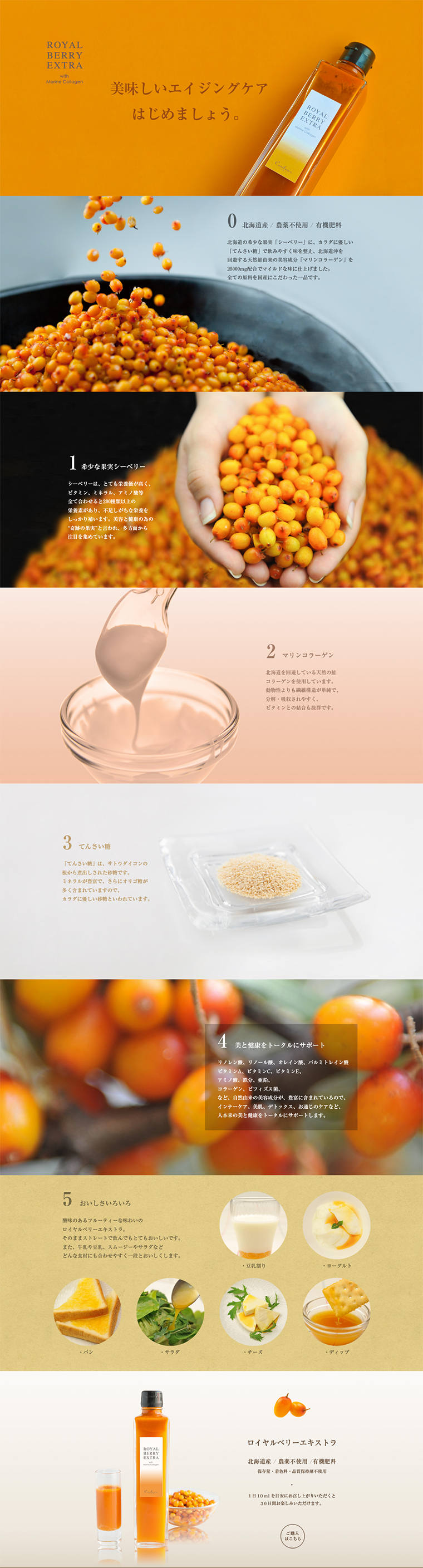 ロイヤルベリーエキストラのLPデザイン（健康・美容食品・サプリ／オレンジ系／キレイ系）PC版