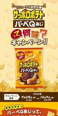 サッポロポテトバーベＱあじのLPデザイン（スイーツ・スナック菓子／イエロー系／にぎやか系）スマホ版