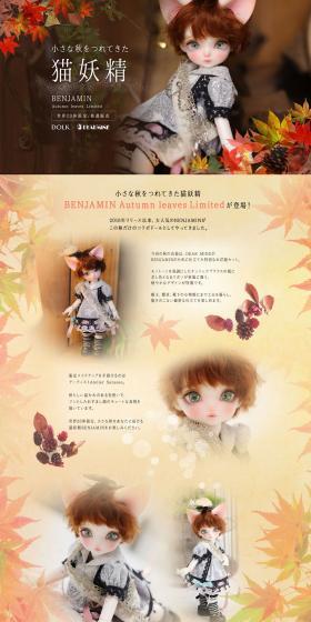 DOLK×DEAR MINE　BENJAMIN Autumn leaves LimitedのLPデザイン（玩具・ホビー・フィギュア／ブラウン系／ナチュラル系）PC版
