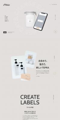 Hi there LP design (Internet service / Shades of grey / Simple) PC version