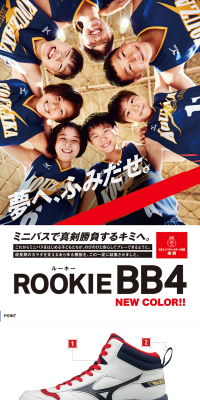 ROOKIEBB4 LP design (sports / White-based / Cool style) PC version
