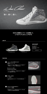 WAVECHASER LP design (sports / Black-colored / Cool style) PC version