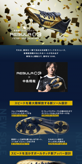 Rebula 3 LP design (sports / Shades of blue / Cool style) PC version