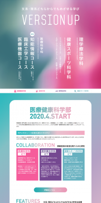 Faculty of Medical and Health Sciences LP design (Learning Materials / Pink shades / Trust and Safety) PC version