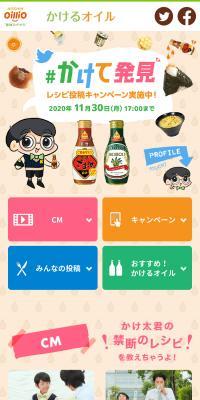 かけ太くんの"かけて発見"のLPデザイン（調味料・甘味料・ダシ・スープ／カラフル系／マンガ・イラスト系）スマホ版