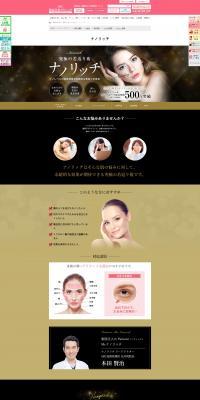 Nano Rich LP design (Hospital, Chiropractic, Massage / Black-colored) PC version