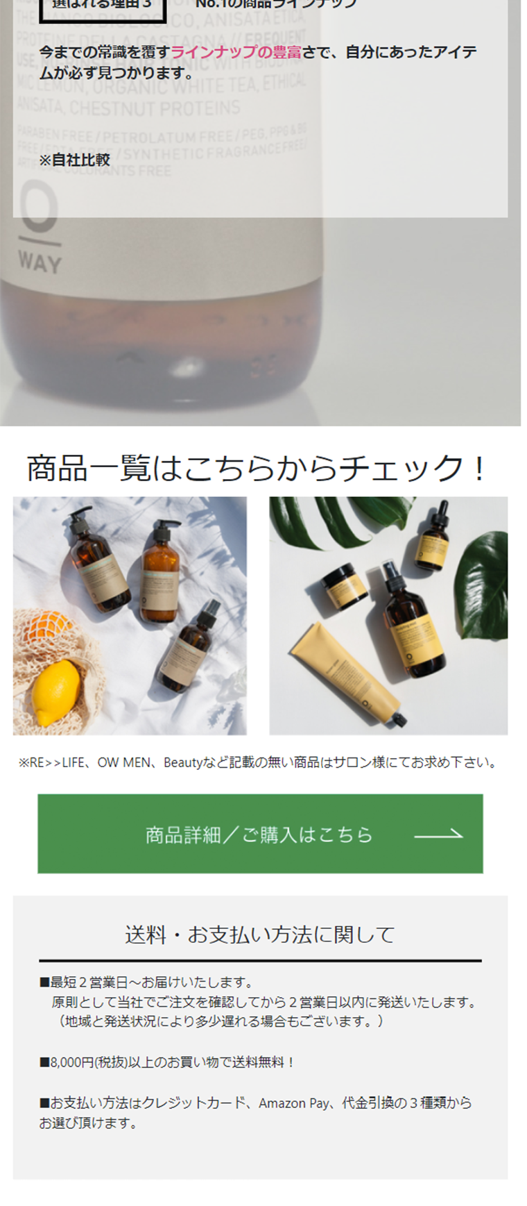 Salon Organic Shampoo, Treatment, Styling LP design (Beauty, Skincare, Fragrance / White-based / Simple) Mobile version