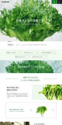 Saitech Farm Co., Ltd. LP design (Health and Beauty Foods and Supplements / Orange tones / Simple) PC version