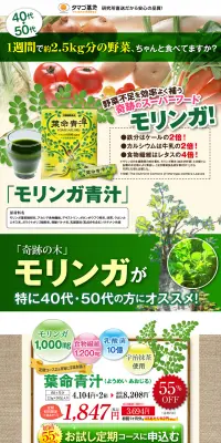 葉命青汁のLPデザイン（健康・美容食品・サプリ／グリーン系／健康・癒し系）PC版