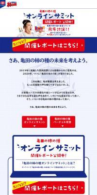 亀田の柿の種　オンラインサミットのLPデザイン（インターネットサービス／ブルー系／シンプル系）PC版
