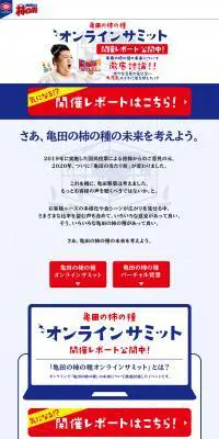 亀田の柿の種　オンラインサミットのLPデザイン（インターネットサービス／ブルー系／シンプル系）PC版