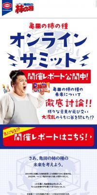 亀田の柿の種　オンラインサミットのLPデザイン（インターネットサービス／ブルー系／シンプル系）スマホ版