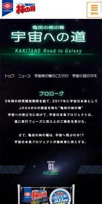 亀田の柿の種　宇宙への道のLPデザイン（イベント・キャンペーン・ギフト／グリーン系／かっこいい系）スマホ版