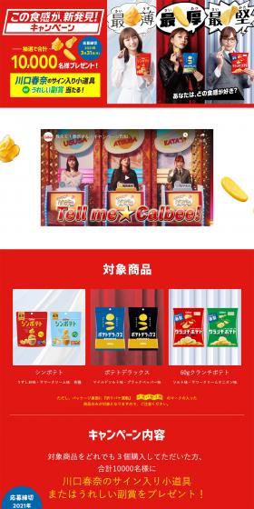 Discover a New Texture! Campaign LP design (Sweets and Snacks / Red tones / Strong) PC version