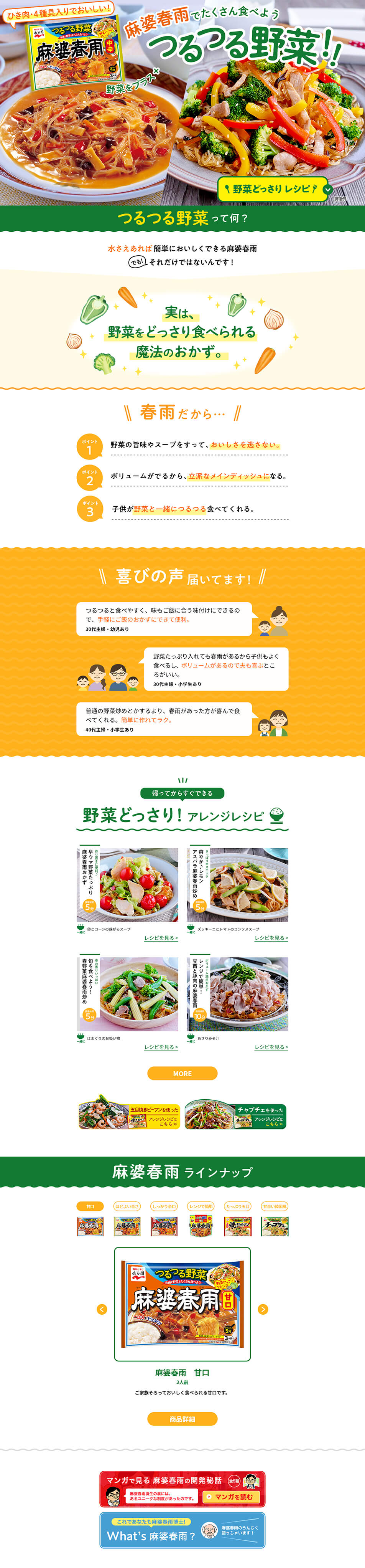 麻婆春雨のLPデザイン（食品／オレンジ系／シンプル系）PC版