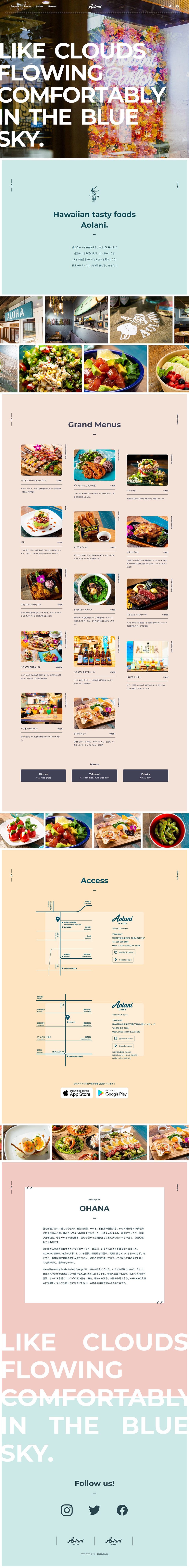 Aolani LP design (Services, Insurance, and Finance / Multi-color type / Organic) PC version