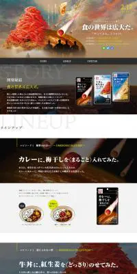 やってみた。ふりかけのLPデザイン（食品／ブラウン系／かっこいい系）PC版