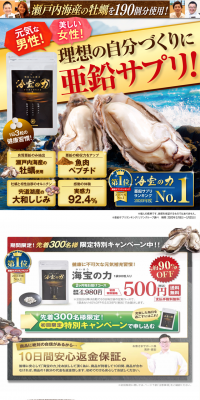 Kaihou no Chikara LP design (Health and Beauty Foods and Supplements / Brown tones / Health and Wellness) PC version
