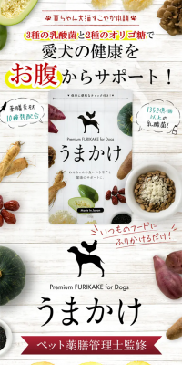 Umakake LP design (Pets, Flowers, DIY Tools / White-based / Health and Wellness) PC version