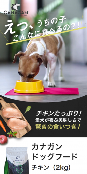 カナガン　グレインフリープレミアムドッグフードのLPデザイン（ペット・花・DIY工具／ベージュ系／健康・癒し系）スマホ版