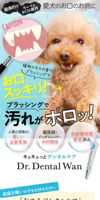 ドクターデンタルワンのLPデザイン（ペット・花・DIY工具／ブルー系／健康・癒し系）スマホ版