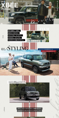 XBEE LP design (Cars, Motorcycles, Bicycles / Shades of grey / Cool style) PC version