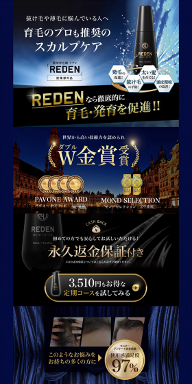 REDEN LP design (Beauty, Skincare, Fragrance / Black-colored / Cool style) PC version
