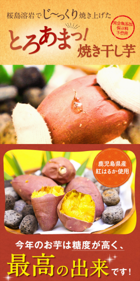 Meltingly Sweet Roasted Dried Sweet Potato LP design (food / Beige tones / Health and Wellness) PC version