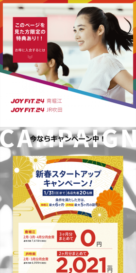 New Year Startup Campaign LP design (Services, Insurance, and Finance / White-based / Refreshing type) PC version