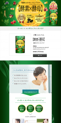 Yeast x Enzyme Cleanse Barrier LP design (Health and Beauty Foods and Supplements / Green tones / Health and Wellness) PC version