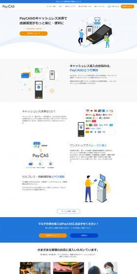 PayCAS LP design (Services, Insurance, and Finance / White-based / Simple) PC version