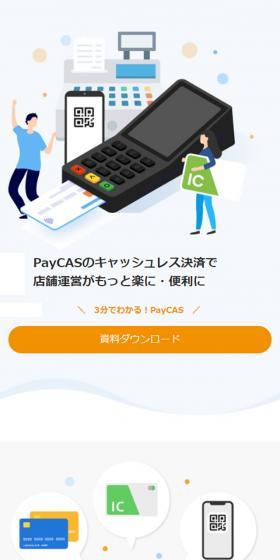 PayCASのLPデザイン（サービス・保険・金融／ホワイト系／シンプル系）スマホ版