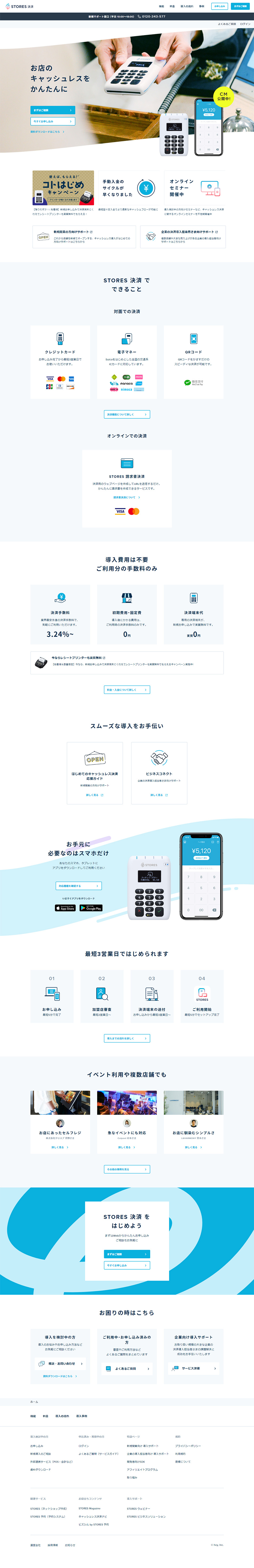 STORES Payments LP design (Services, Insurance, and Finance / White-based / Simple) PC version
