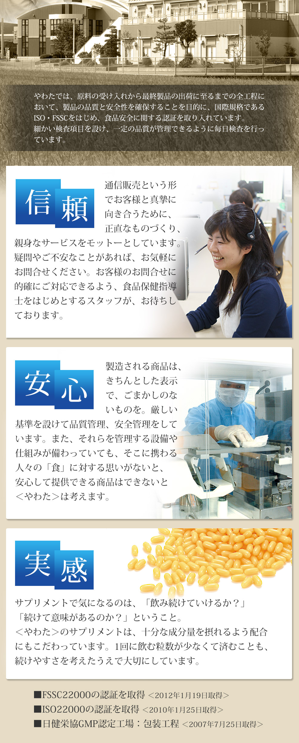 やわたノコギリヤシのLPデザイン（健康・美容食品・サプリ／グリーン系／健康・癒し系）PC版