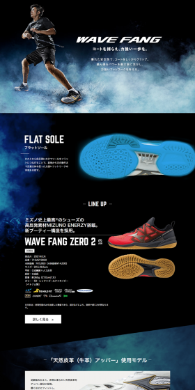 WAVEFANG LP design (sports / Black-colored / Cool style) PC version